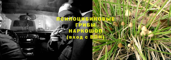 apvp Нея