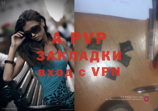 apvp Нея