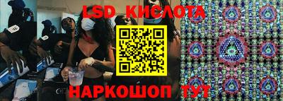 крисы Дубна