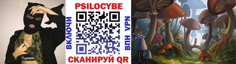 купить наркоту  Северобайкальск  Галлюциногенные грибы GOLDEN TEACHER 