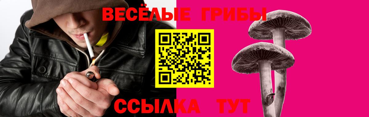 Галлюциногенные грибы Psilocybe  Северобайкальск  Галлюциногенные грибы ЛСД 