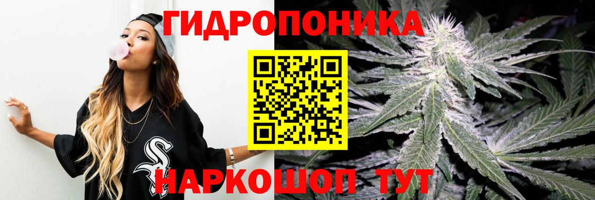 Северобайкальск  Шишки марихуана индика  Каннабис Ganja  Бошки Шишки White Widow  Вход с VPN 